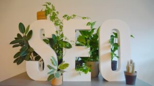 Hosting SEO